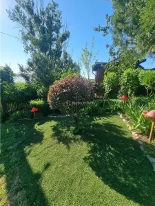 Casa de vacanta Alexandria -La Izvorul Rece - foto 8