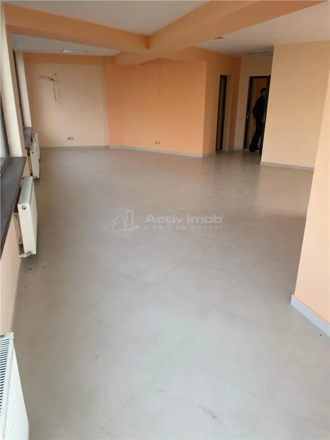 Office Space for Sale Unirii-Calea Vitan Dudesti, Bucharest - foto 8