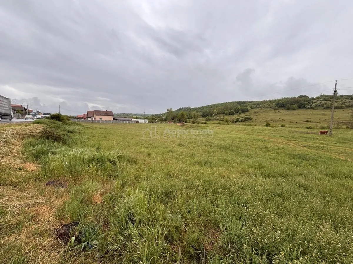 Building Plot 2145 sqm Hidiselul de Jos - foto 9