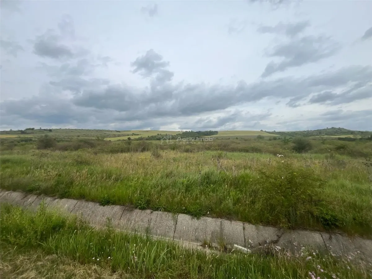 Lugoj, Teren 16.800 Mp., Cu deschidere de 80 Ml., La Centura Ocolitoare - foto 11