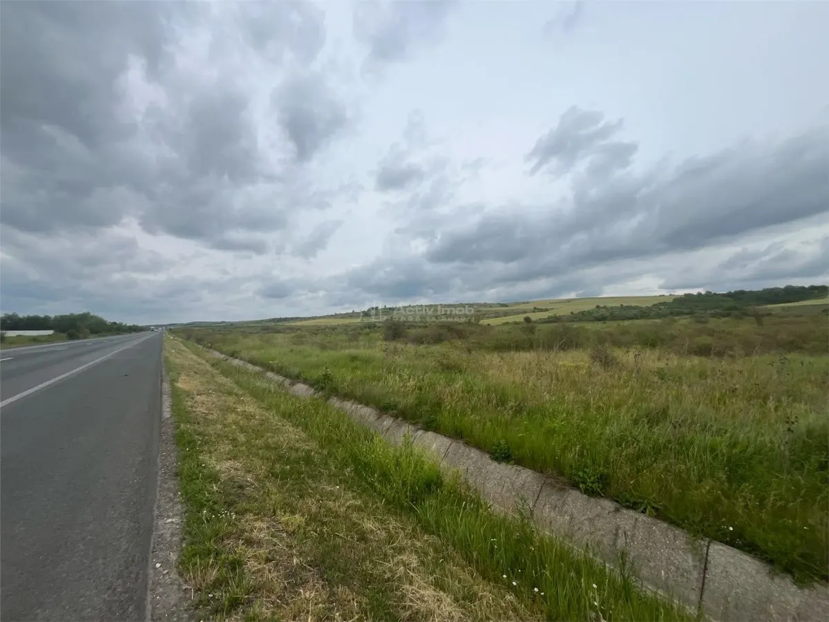 Lugoj, Teren 16.800 Mp., Cu deschidere de 80 Ml., La Centura Ocolitoare - foto 12