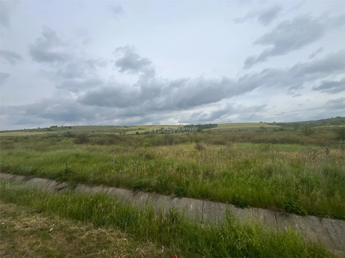 Lugoj, Teren 16.800 Mp., Cu deschidere de 80 Ml., La Centura Ocolitoare - foto 9