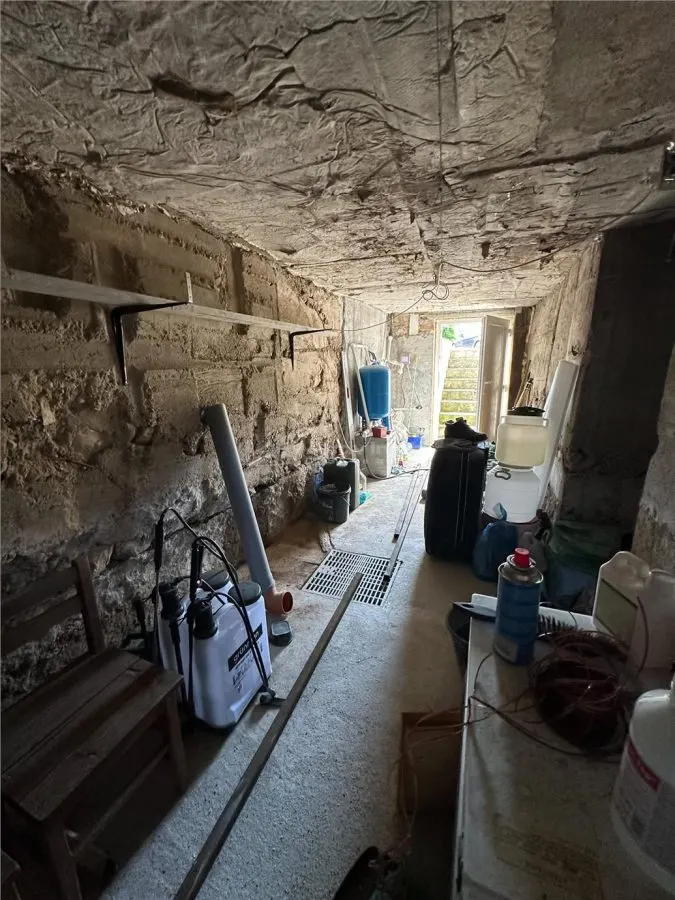 CASA SOLIDA CU TEREN SI CURTE, BOCSA VASIOVA. COMISION ZERO - foto 25