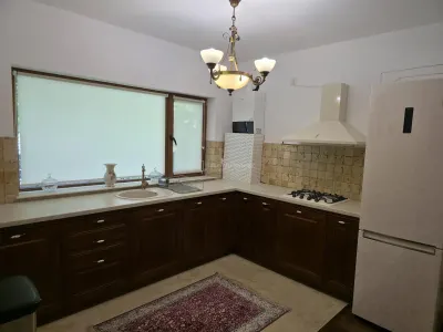 House / villa for rent 120 sqm in 1 Decembrie - foto 6
