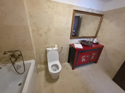 House / villa for rent 120 sqm in 1 Decembrie - foto 7