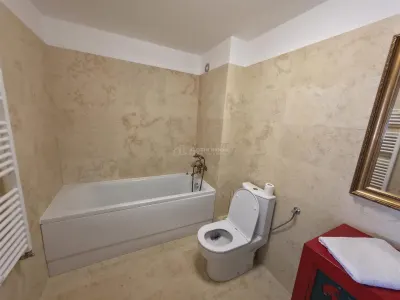 House / villa for rent 120 sqm in 1 Decembrie - foto 8