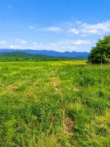 Teren extravilan de vanzare Talmaciu - Talmaciu
