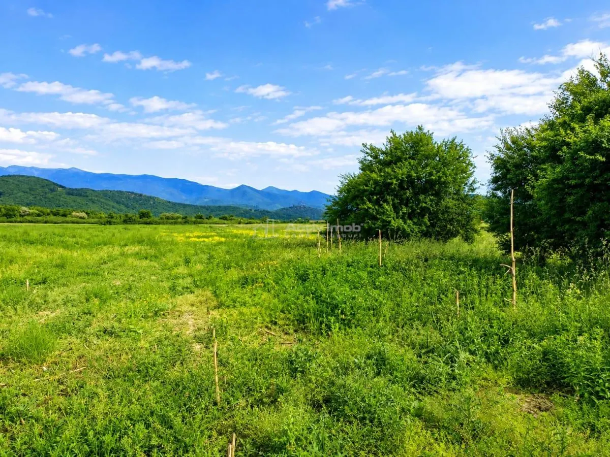Teren extravilan de vanzare Talmaciu - foto 2