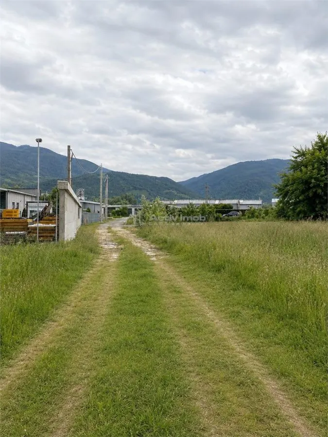 Teren extravilan de vanzare Talmaciu - foto 5