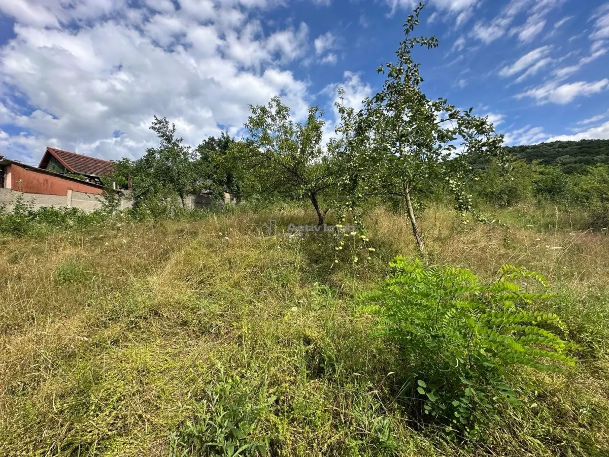 Plot of Land 3,694 m², Bocsa Town Hall Area – Zero Buyer Commission - foto 2