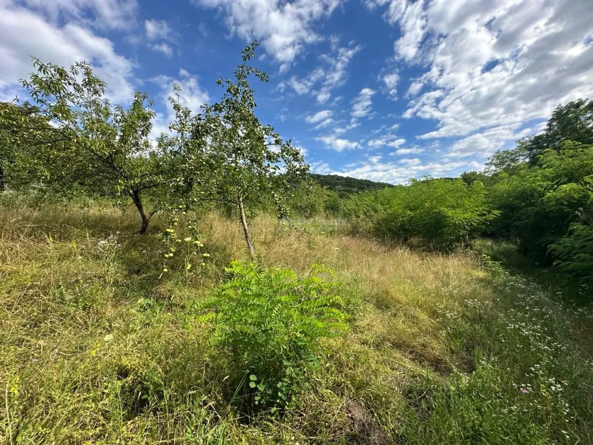 Plot of Land 3,694 m², Bocsa Town Hall Area – Zero Buyer Commission - foto 11