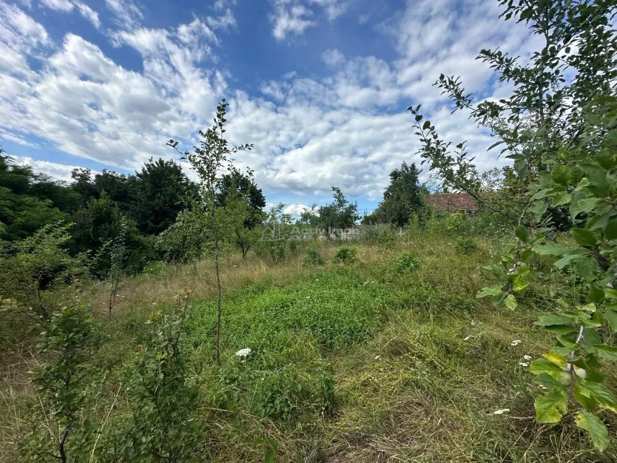 Plot of Land 3,694 m², Bocsa Town Hall Area – Zero Buyer Commission - foto 12