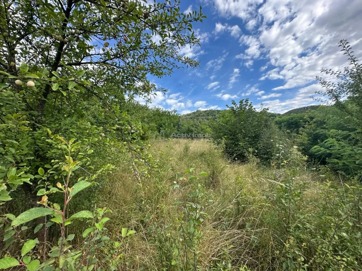 Plot of Land 3,694 m², Bocsa Town Hall Area – Zero Buyer Commission - foto 5