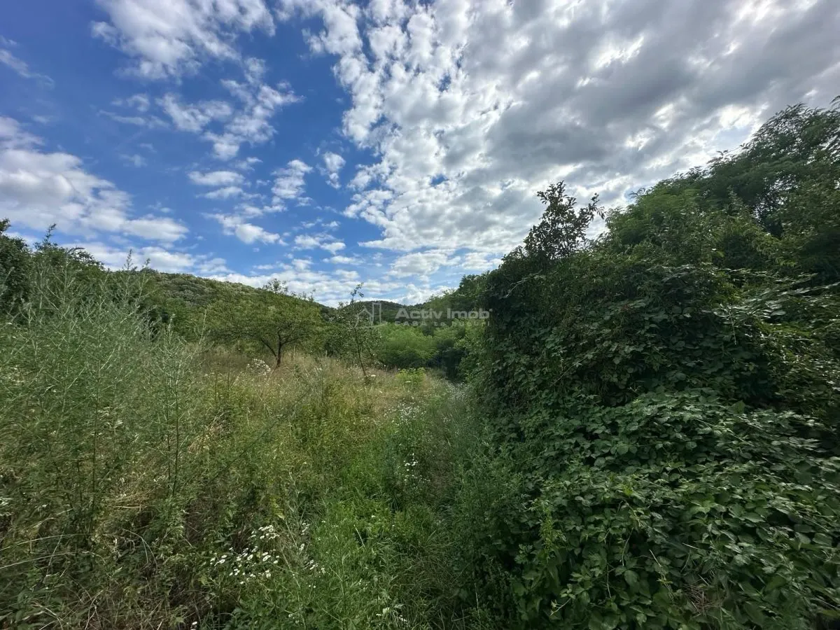 Plot of Land 3,694 m², Bocsa Town Hall Area – Zero Buyer Commission - foto 7