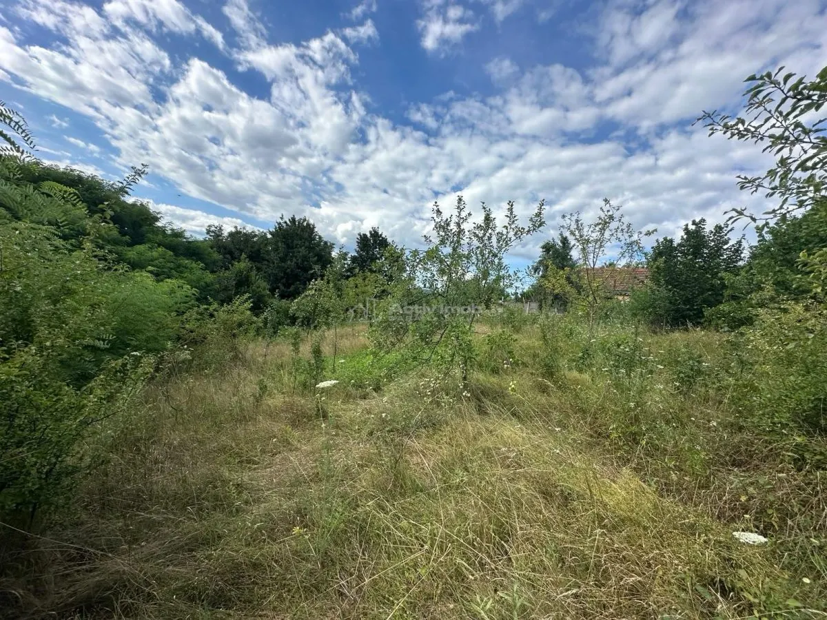Plot of Land 3,694 m², Bocsa Town Hall Area – Zero Buyer Commission - foto 8