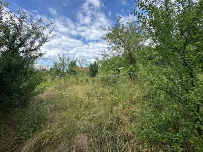 Plot of Land 3,694 m², Bocsa Town Hall Area – Zero Buyer Commission - foto 10