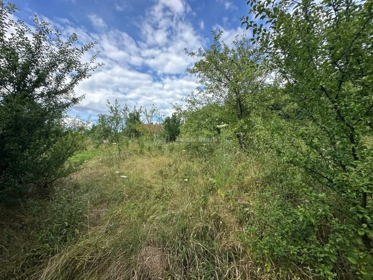 Plot of Land 3,694 m², Bocsa Town Hall Area – Zero Buyer Commission - foto 10