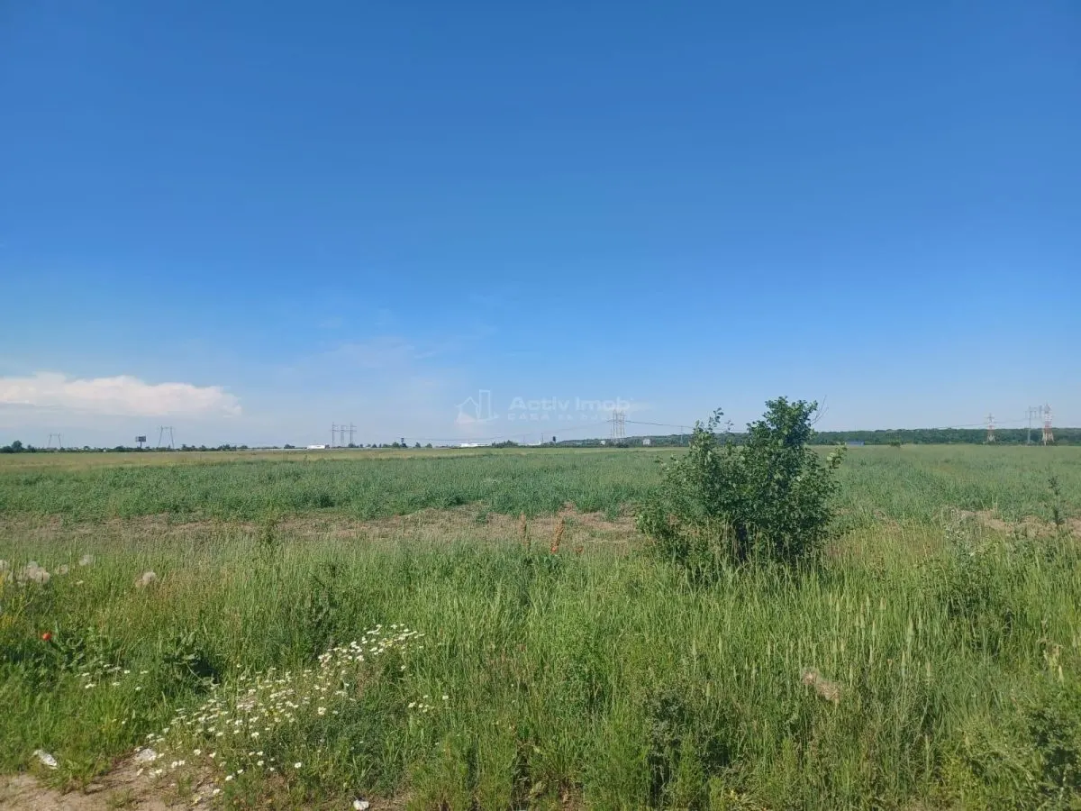 Teren Ciorogarla- Strada Viitorului - foto 1