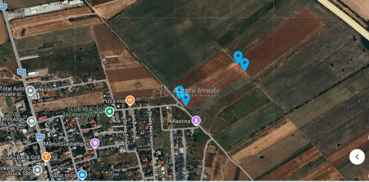 Teren Ciorogarla- Strada Viitorului - foto 3