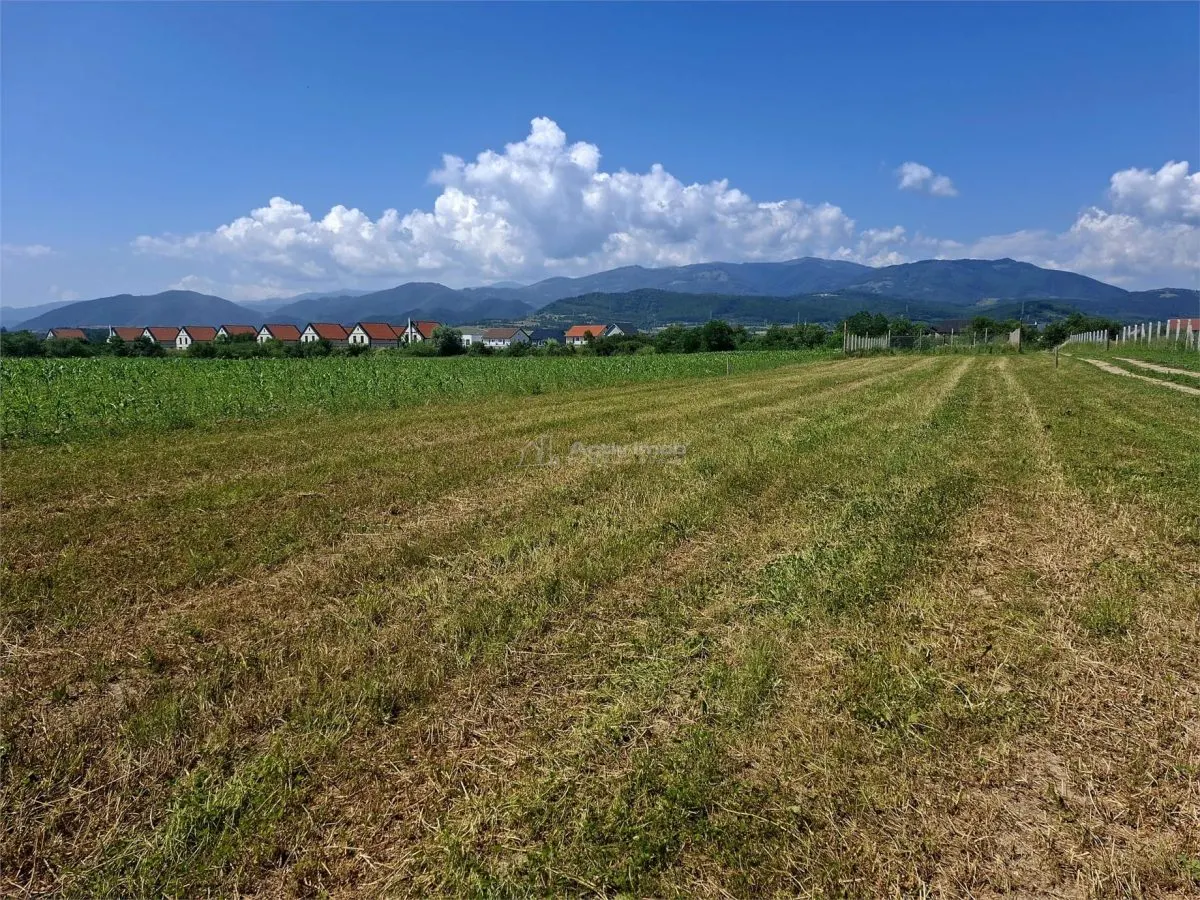Teren extravilan de vanzare Talmaciu - foto 2