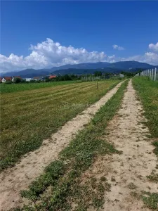 Teren extravilan de vanzare Talmaciu - foto 4