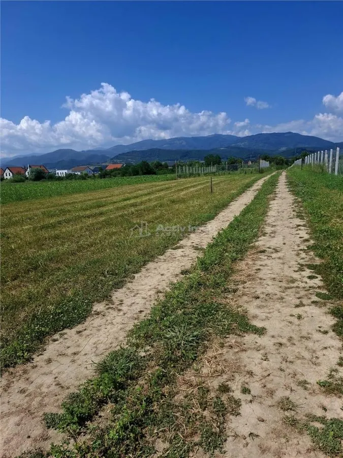 Teren extravilan de vanzare Talmaciu - foto 4