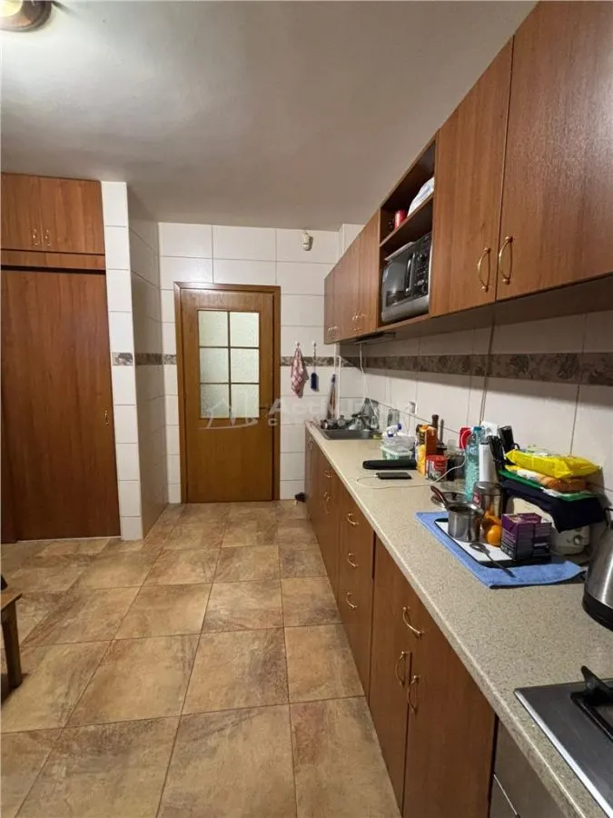 Vila Premium, Robusta, Versatila, Colentina (Parc Plumbuita) - foto 15