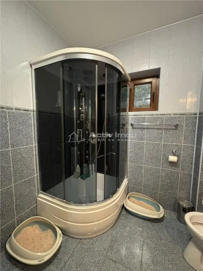 Vila Premium, Robusta, Versatila, Colentina (Parc Plumbuita) - foto 25