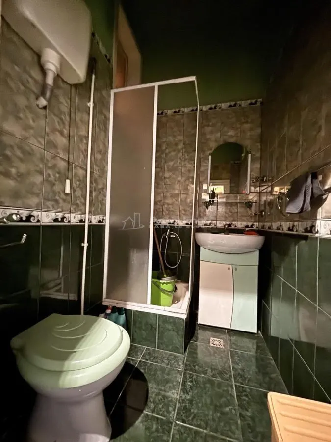 Apartament 129 mp cu vedere spre Crisul Repede si demisol independent in cladire istorica - foto 11