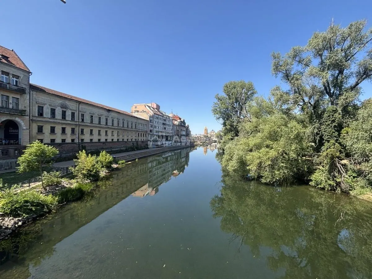 Apartament 129 mp cu vedere spre Crisul Repede si demisol independent in cladire istorica - foto 18