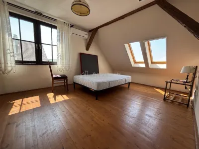 Proprietate de patrimoniu pe malul lacului Paleu - Teren 2.300 mp - piscina - Coliba lui Horea – casa istorica din secolul XVIII - foto 12