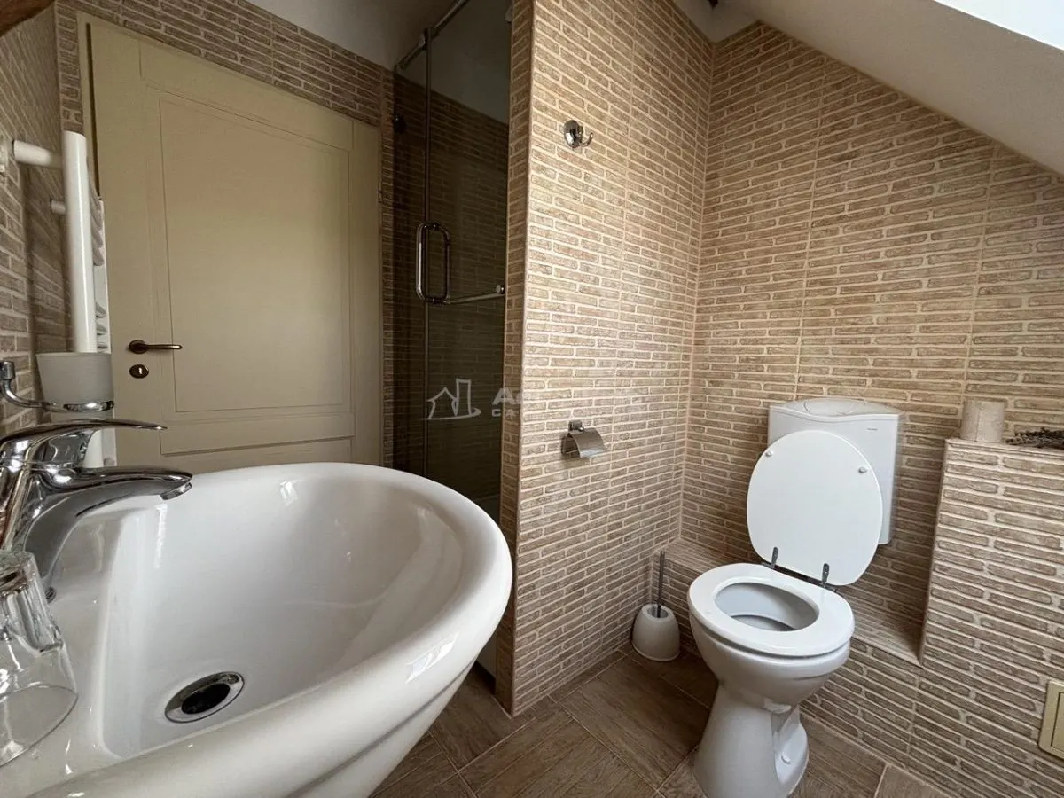 Proprietate de patrimoniu pe malul lacului Paleu - Teren 2.300 mp - piscina - Coliba lui Horea – casa istorica din secolul XVIII - foto 13