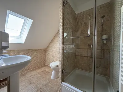 Proprietate de patrimoniu pe malul lacului Paleu - Teren 2.300 mp - piscina - Coliba lui Horea – casa istorica din secolul XVIII - foto 15