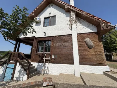 Proprietate de patrimoniu pe malul lacului Paleu - Teren 2.300 mp - piscina - Coliba lui Horea – casa istorica din secolul XVIII - foto 3