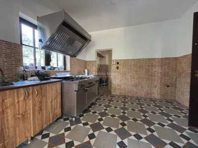 Proprietate de patrimoniu pe malul lacului Paleu - Teren 2.300 mp - piscina - Coliba lui Horea – casa istorica din secolul XVIII - foto 10