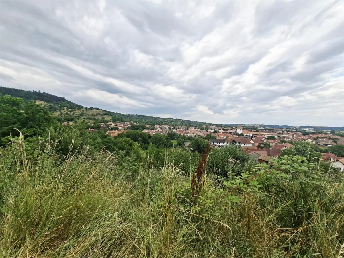 Teren intravilan de vanzare Saliste - foto 1
