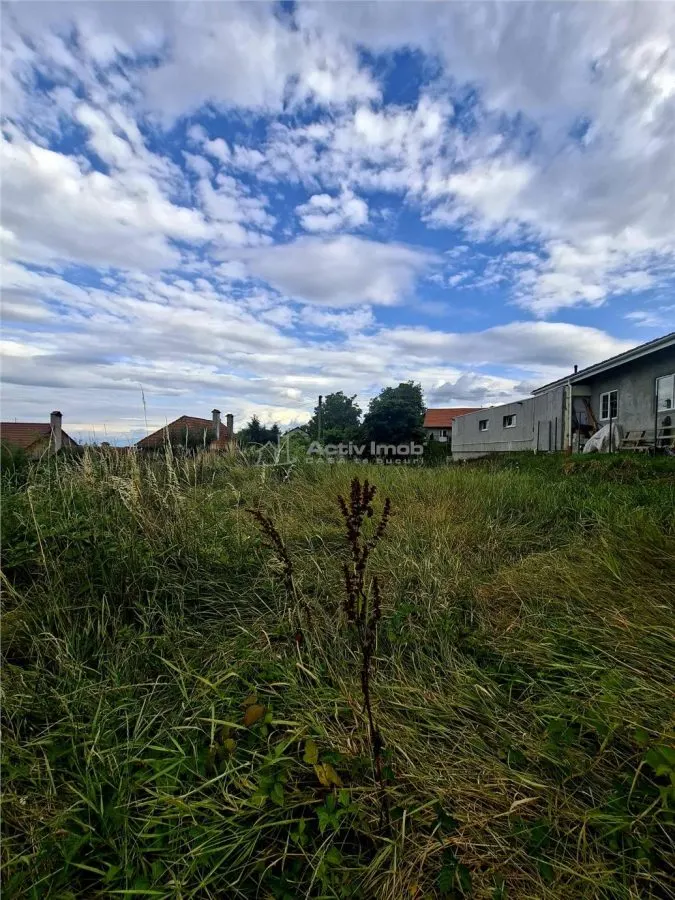 Teren intravilan de vanzare Saliste - foto 5