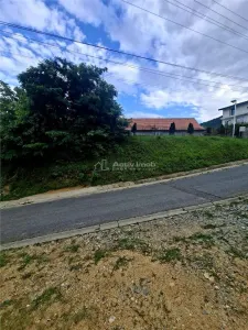 Teren intravilan de vanzare Saliste - foto 6