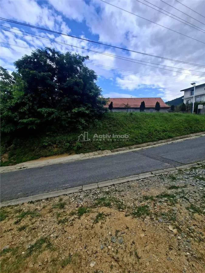 Teren intravilan de vanzare Saliste - foto 6