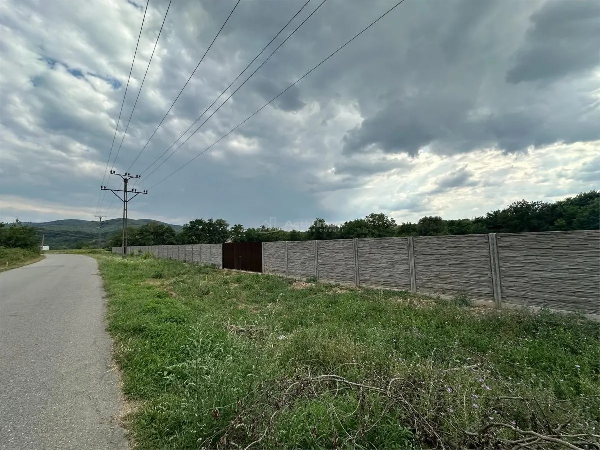 Land for rent 8.500 sqm in Bocsa, Exterior Est area - foto 2