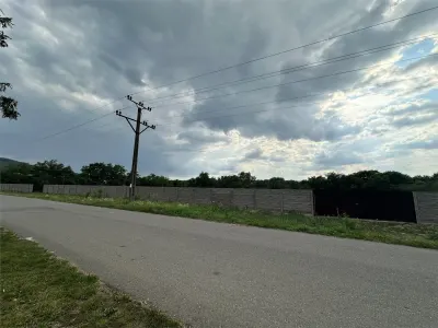 Land for rent 8.500 sqm in Bocsa, Exterior Est area - foto 11