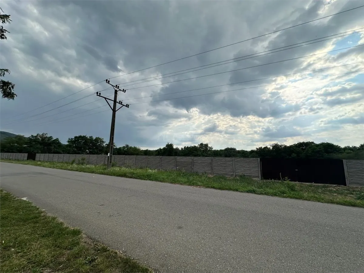 Land for rent 8.500 sqm in Bocsa, Exterior Est area - foto 11