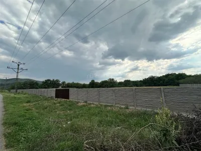 Land for rent 8.500 sqm in Bocsa, Exterior Est area - foto 12