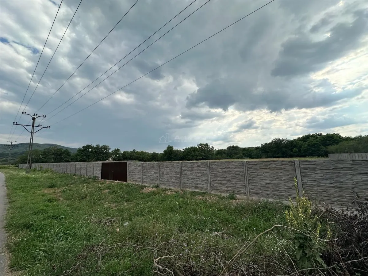 Land for rent 8.500 sqm in Bocsa, Exterior Est area - foto 12