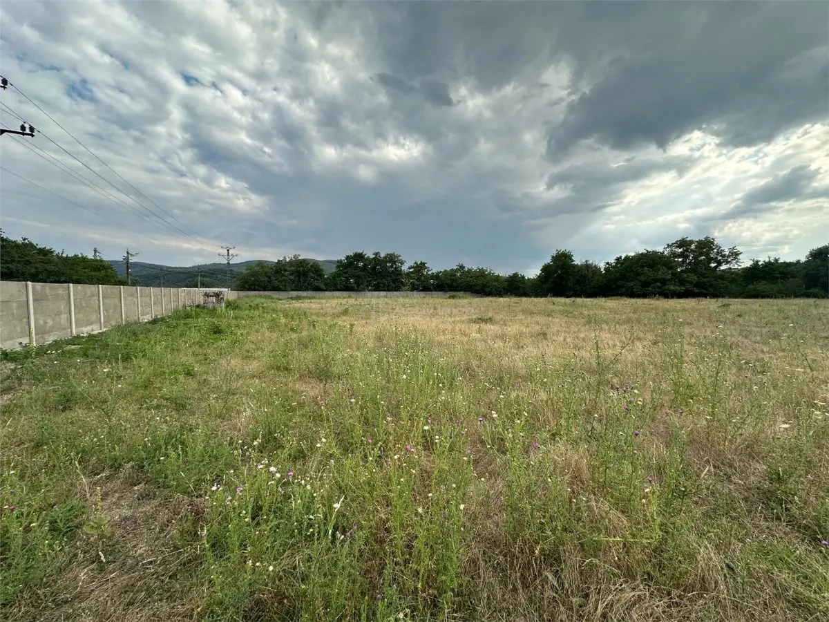Land for rent 8.500 sqm in Bocsa, Exterior Est area - foto 3