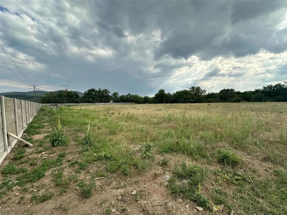 Land for rent 8.500 sqm in Bocsa, Exterior Est area - foto 4