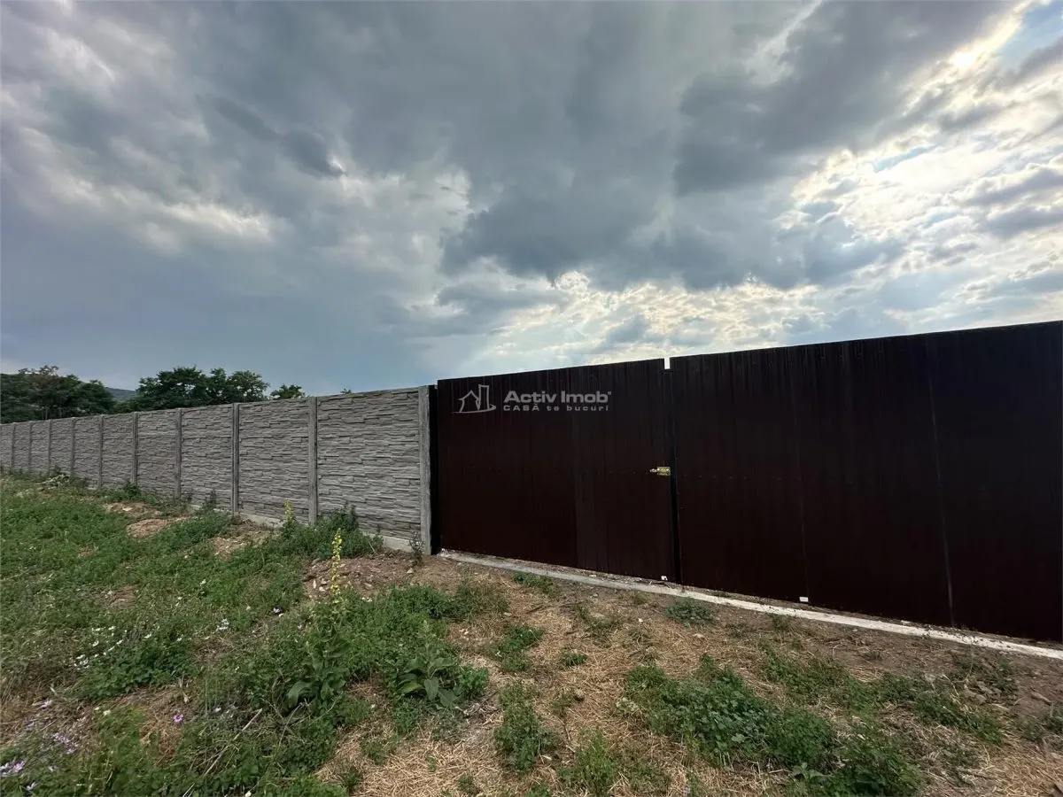 Land for rent 8.500 sqm in Bocsa, Exterior Est area - foto 5