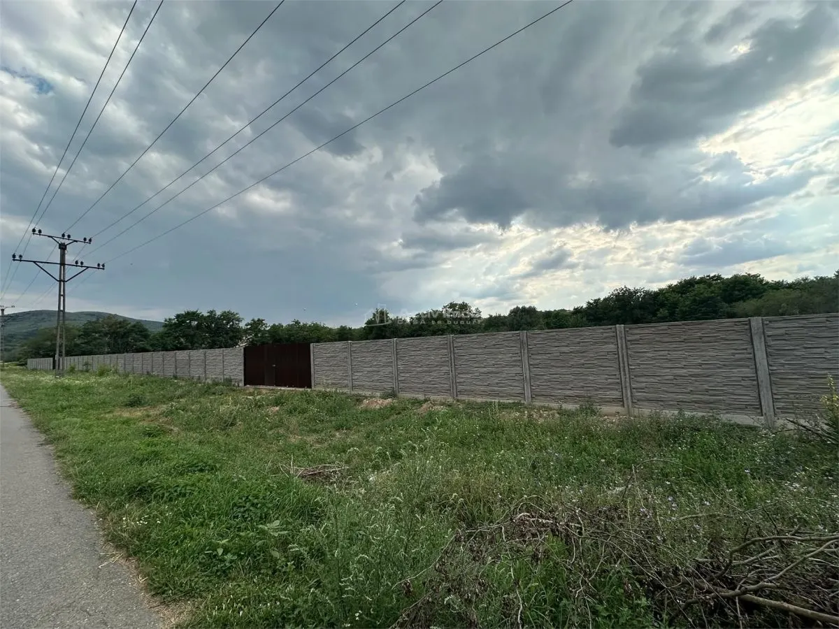 Land for rent 8.500 sqm in Bocsa, Exterior Est area - foto 6