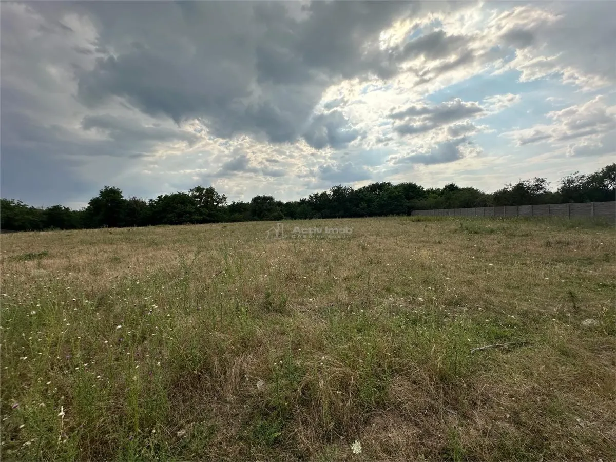 Land for rent 8.500 sqm in Bocsa, Exterior Est area - foto 8