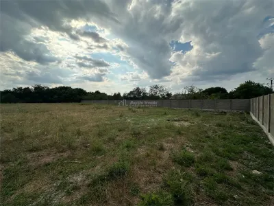 Land for rent 8.500 sqm in Bocsa, Exterior Est area - foto 10